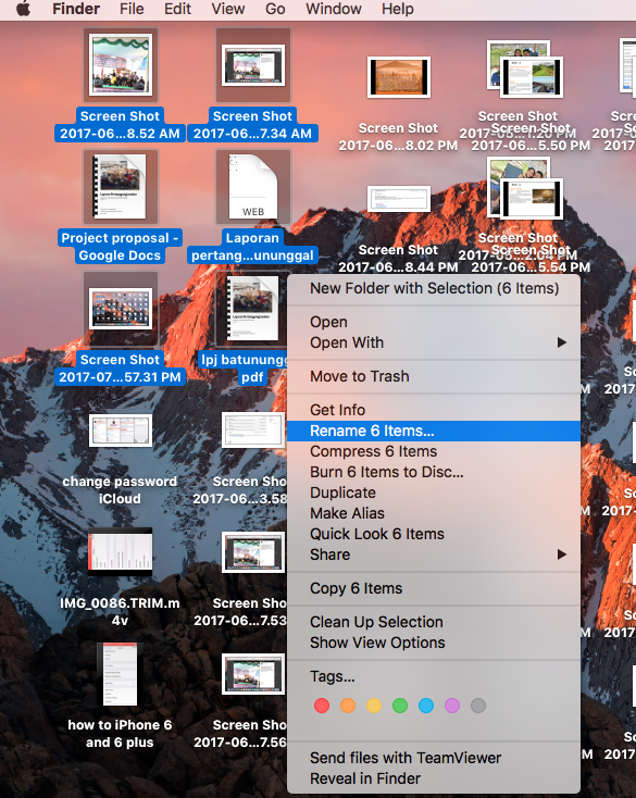 How to rename multiple files on a Mac