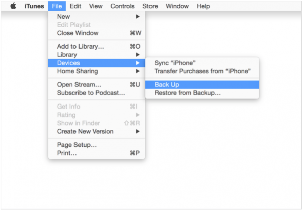 How to Transfer Data from Old iPhone to New iPhone using iTunes