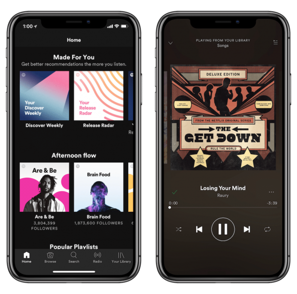 Spotify iphone XS App